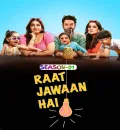 Raat Jawaan Hai S01 (2024)  Hindi Completed Web Series HEVC ESub