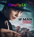 Ip Man - Kung Fu Legend (2026) (Hindi + Chinese) Dual Audio Hollywood Movie HD ESub