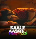 Saale Aashiq (2025) Bollywood Hindi Movie HD ESub