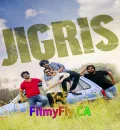 Jigris (2025) (Hindi + Telugu) Dual Audio UnCut South Movie HD ESub