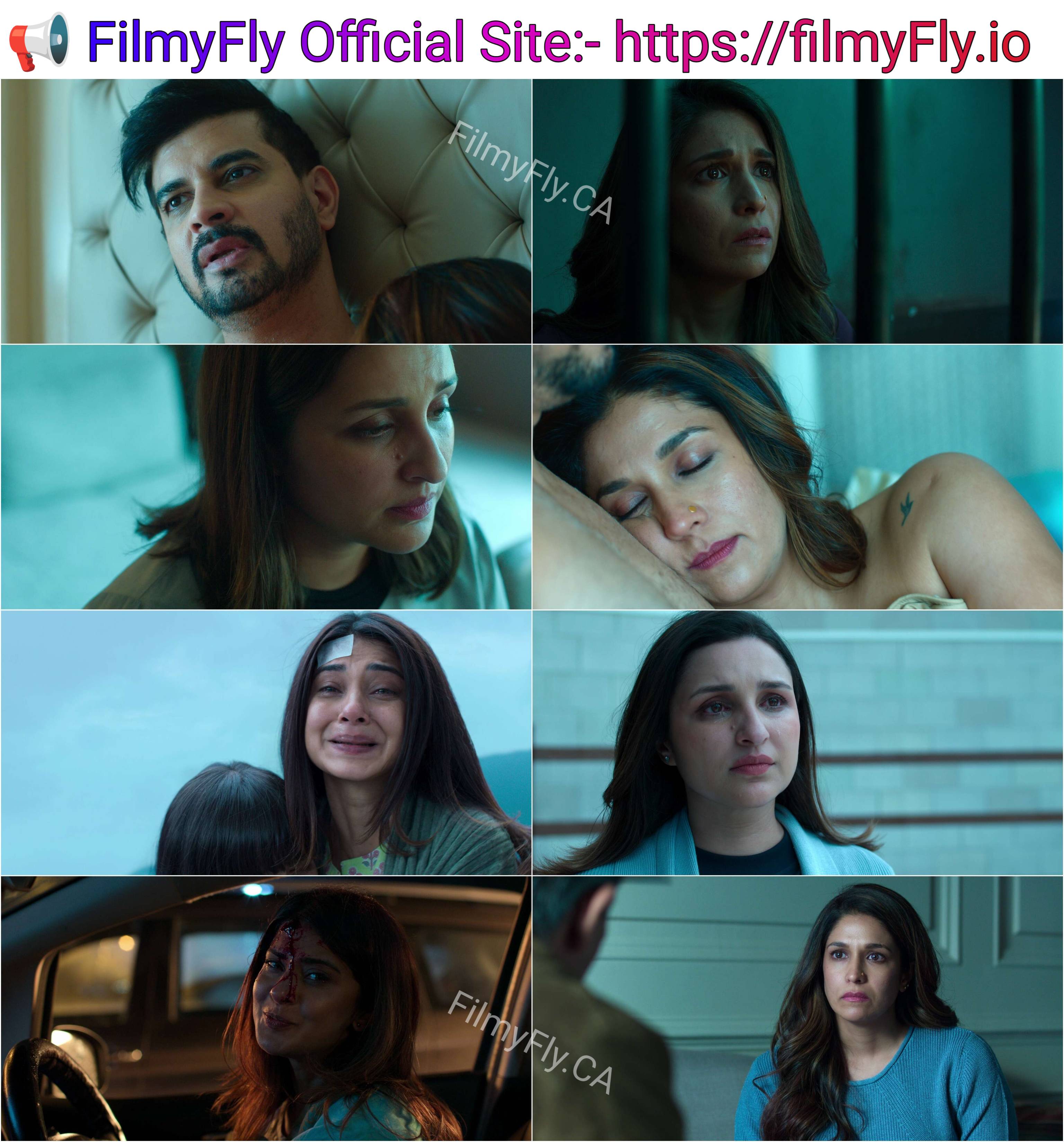 Shaque - Trust No One S01 (2026) Hindi Completed Web Series HEVC ESub screenshot